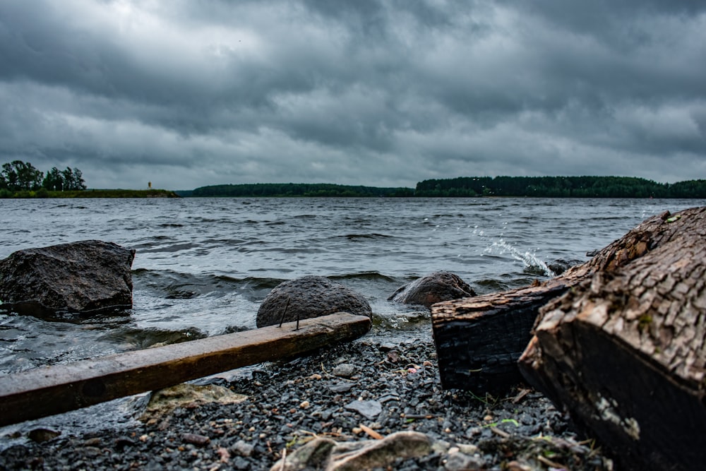 brown wood log on seashore under cloudy sky during daytime