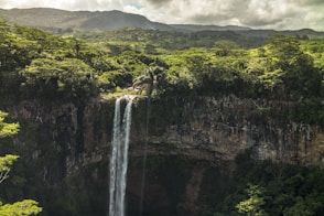 waterfalls in the middle of green trees