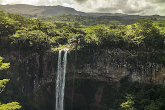 waterfalls in the middle of green trees