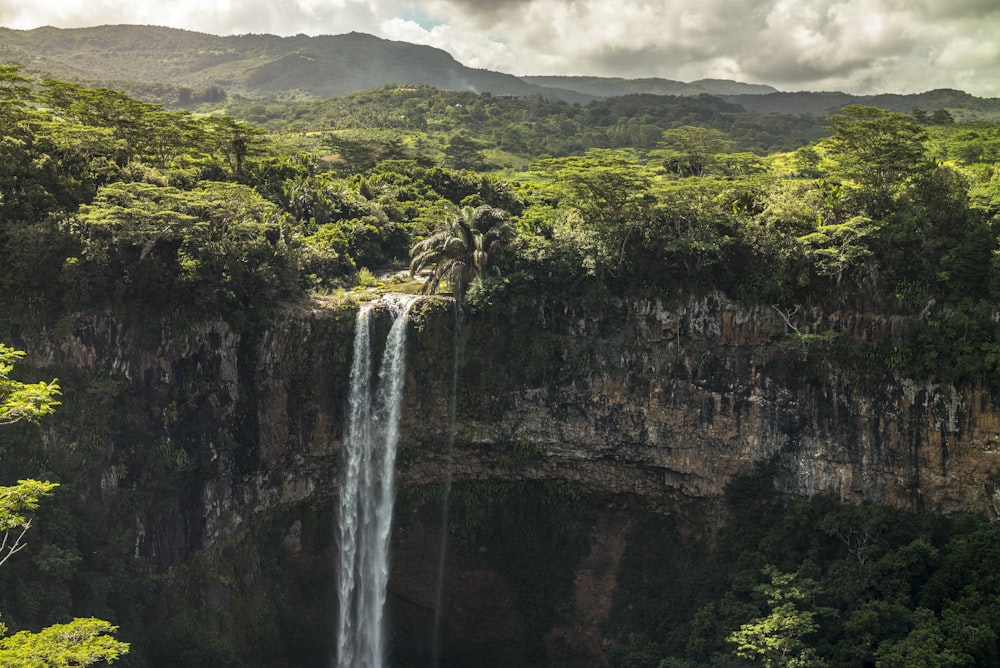 waterfalls in the middle of green trees