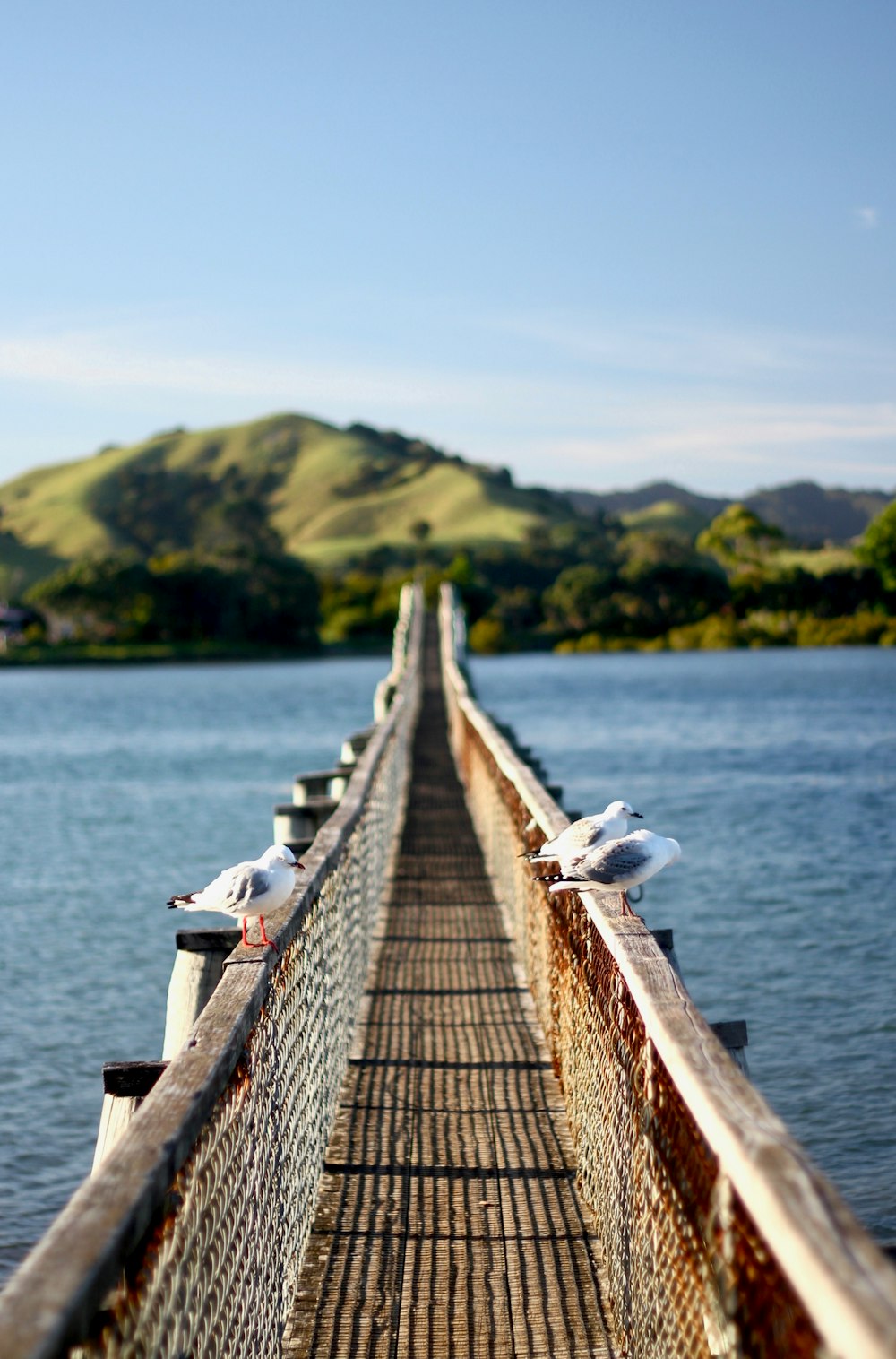 brown wooden dock on blue sea during daytime