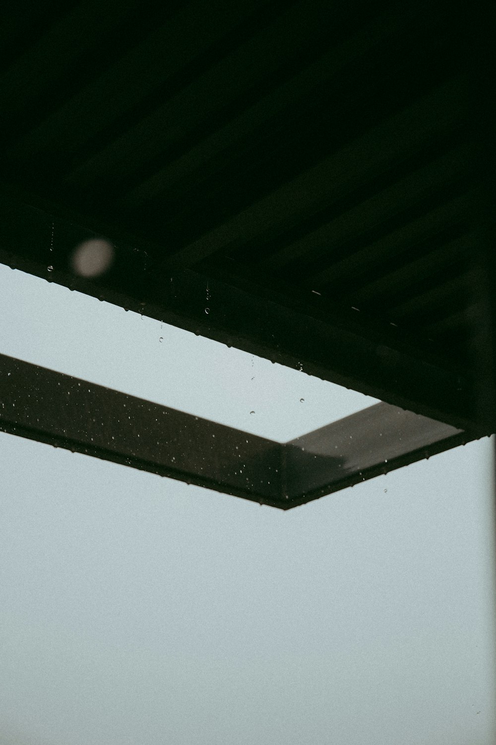 black wooden ceiling with white light bulb