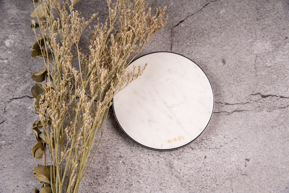 white round plate on gray concrete floor