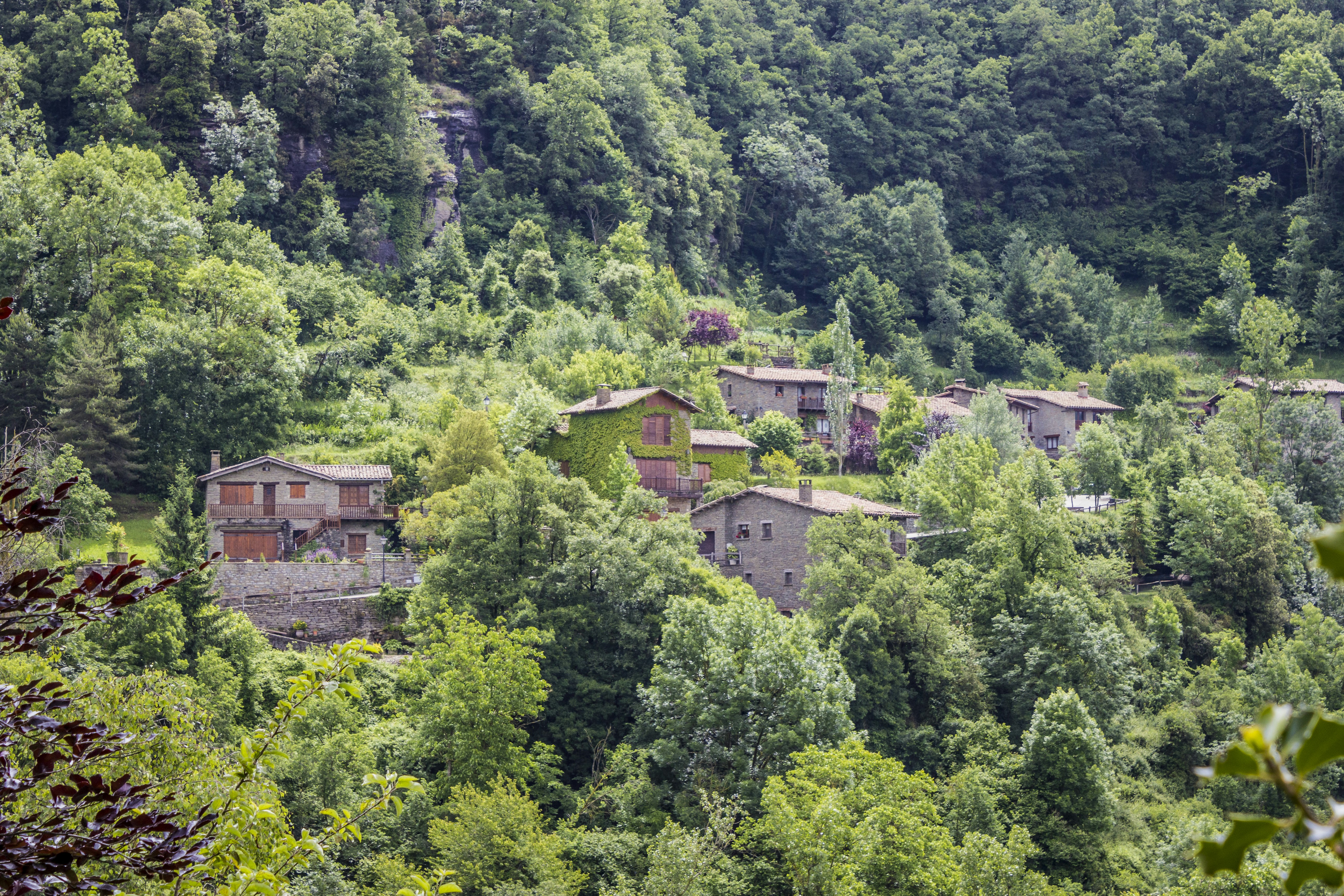 Photo by isaacquesada