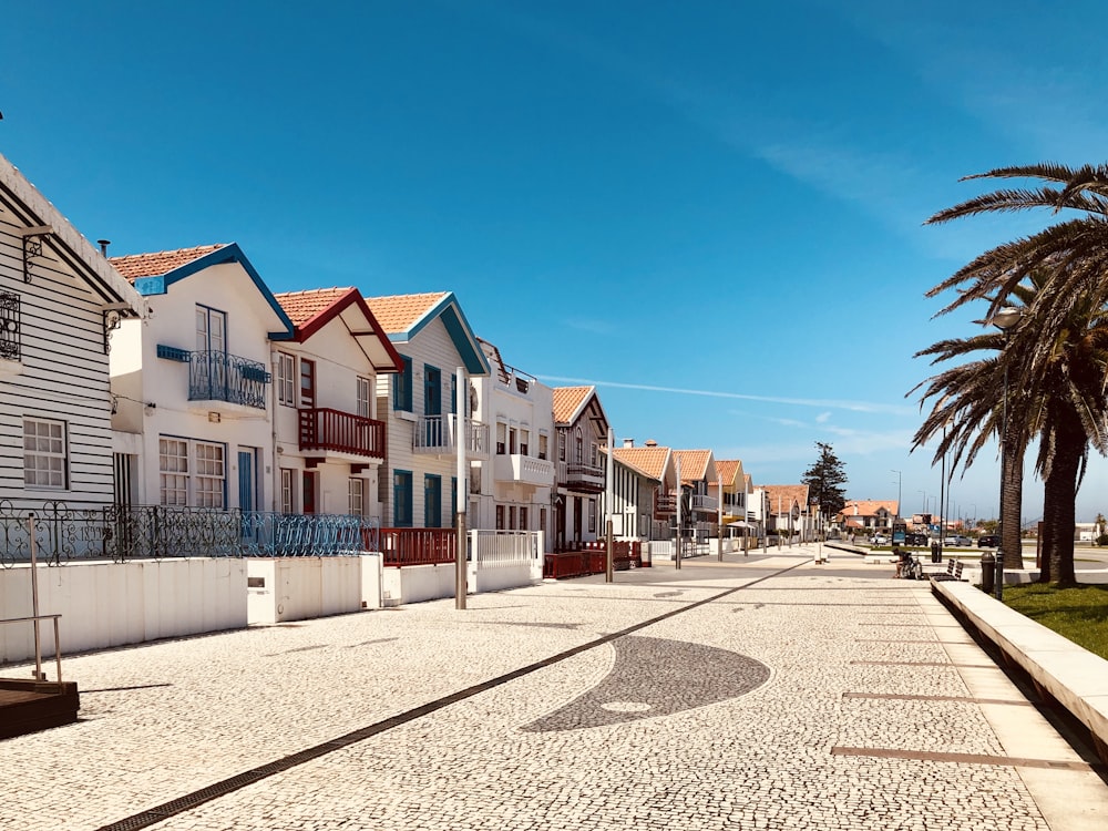 Weiße und braune Betonhäuser in der Nähe von grünen Palmen unter blauem Himmel tagsüber