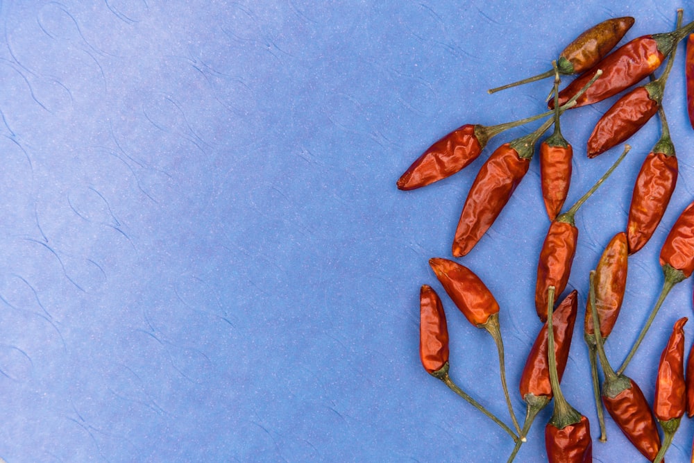 red leaves on blue textile