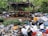 A cluttered outdoor scene with cows sheltered under a simple structure made of wooden posts and thatched material. The ground is littered with various trash items, including plastic bottles, containers, and metal cans. Vegetation surrounds the area, providing a backdrop of greenery.