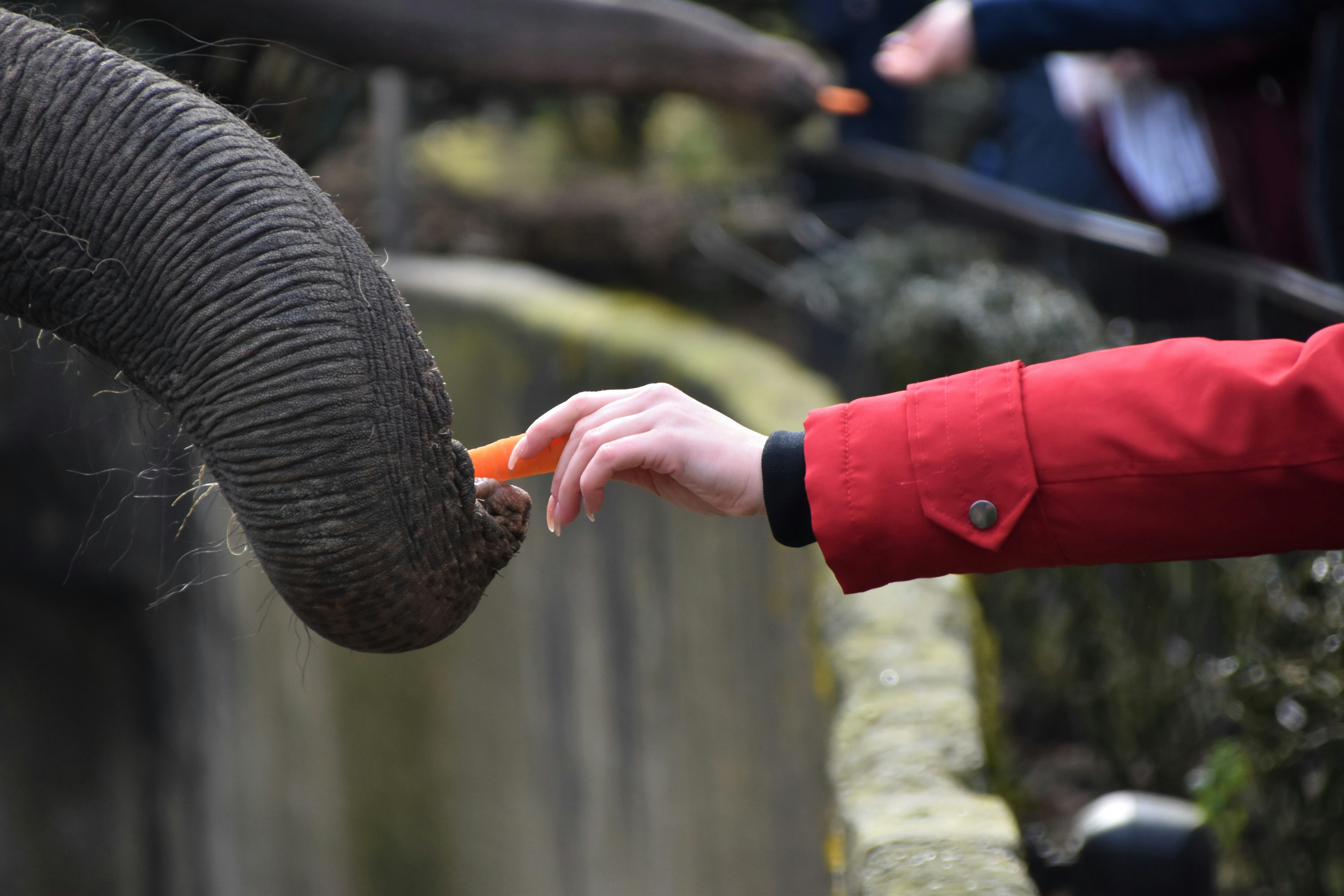 person in red gloves holding brown rope