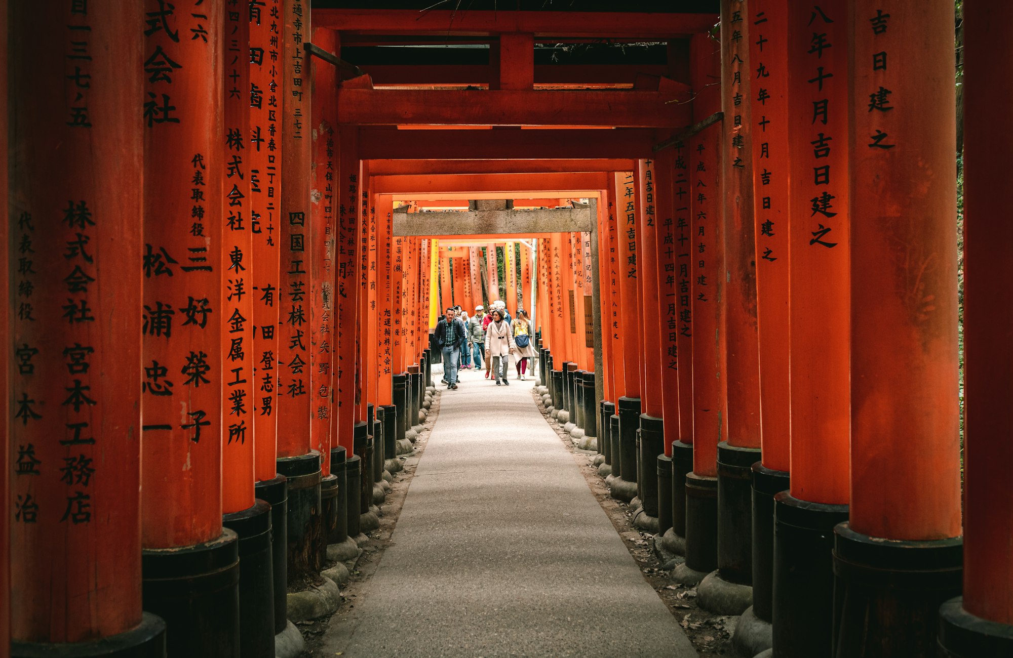 Follow me on instagram @dennisags for more!!
People walking passing thousands of Torii Gate Fushimi Inari Shrine, Kyoto, Japan