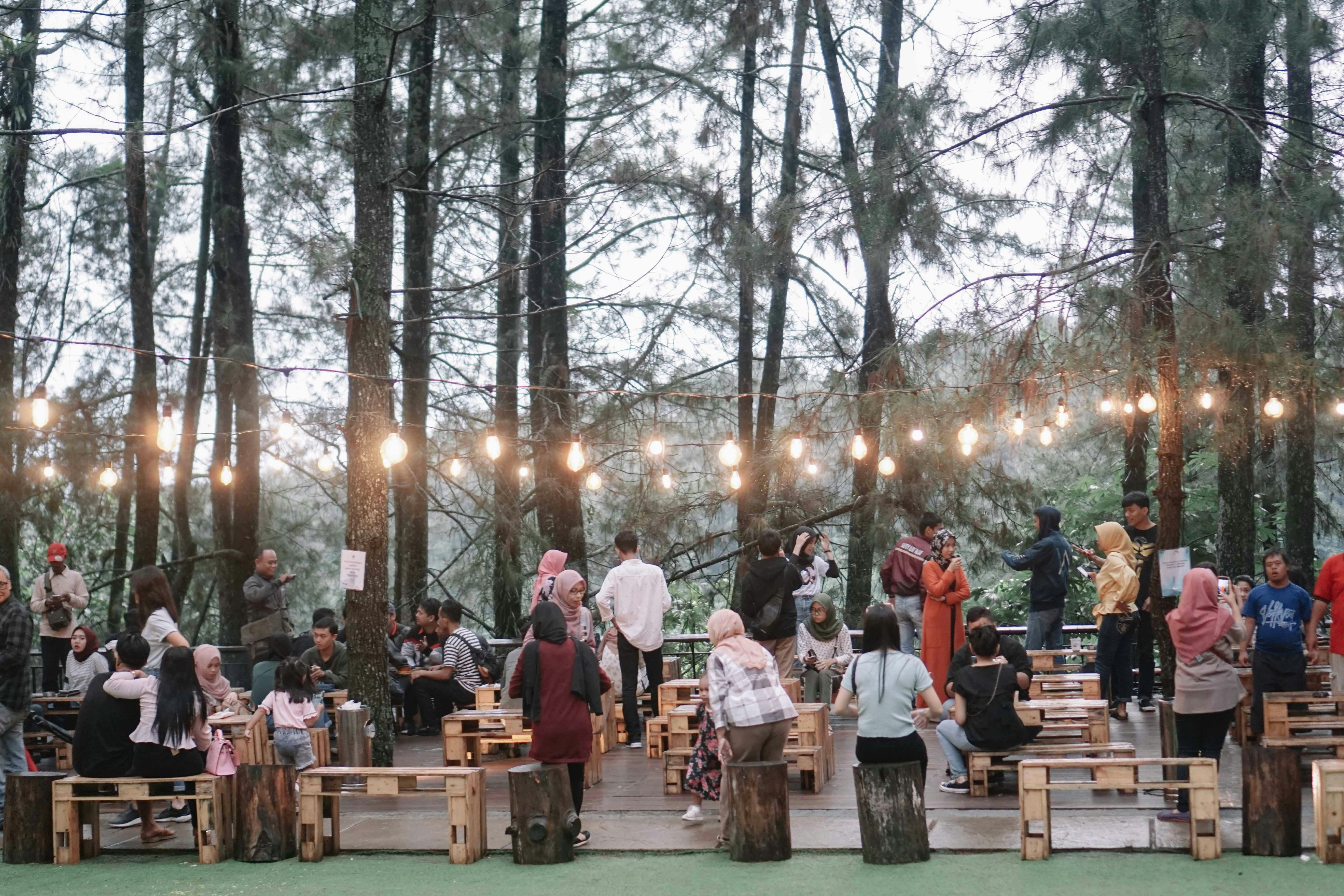 people sitting on brown wooden bench surrounded by trees during daytime