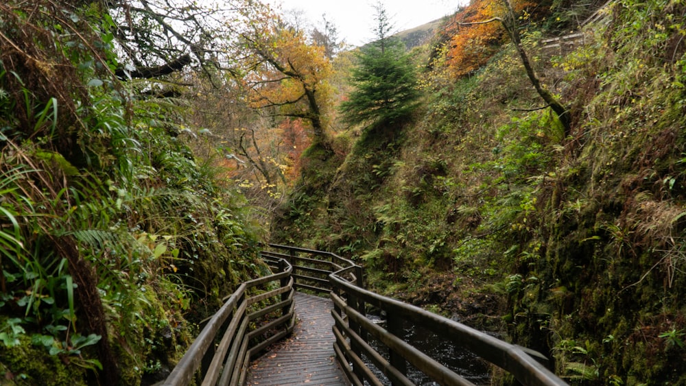 山に架かる茶色の木造橋