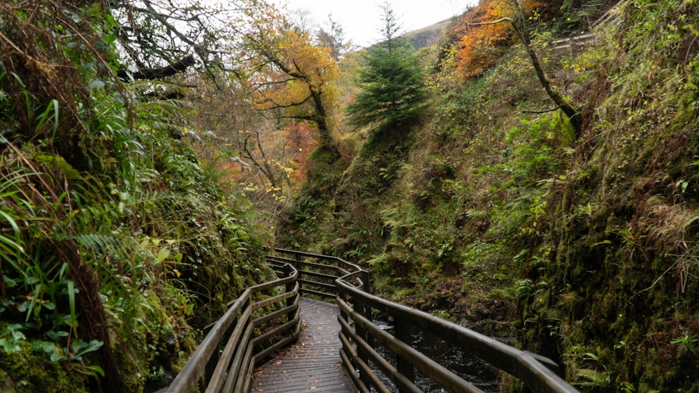 brown wooden bridge on mountain