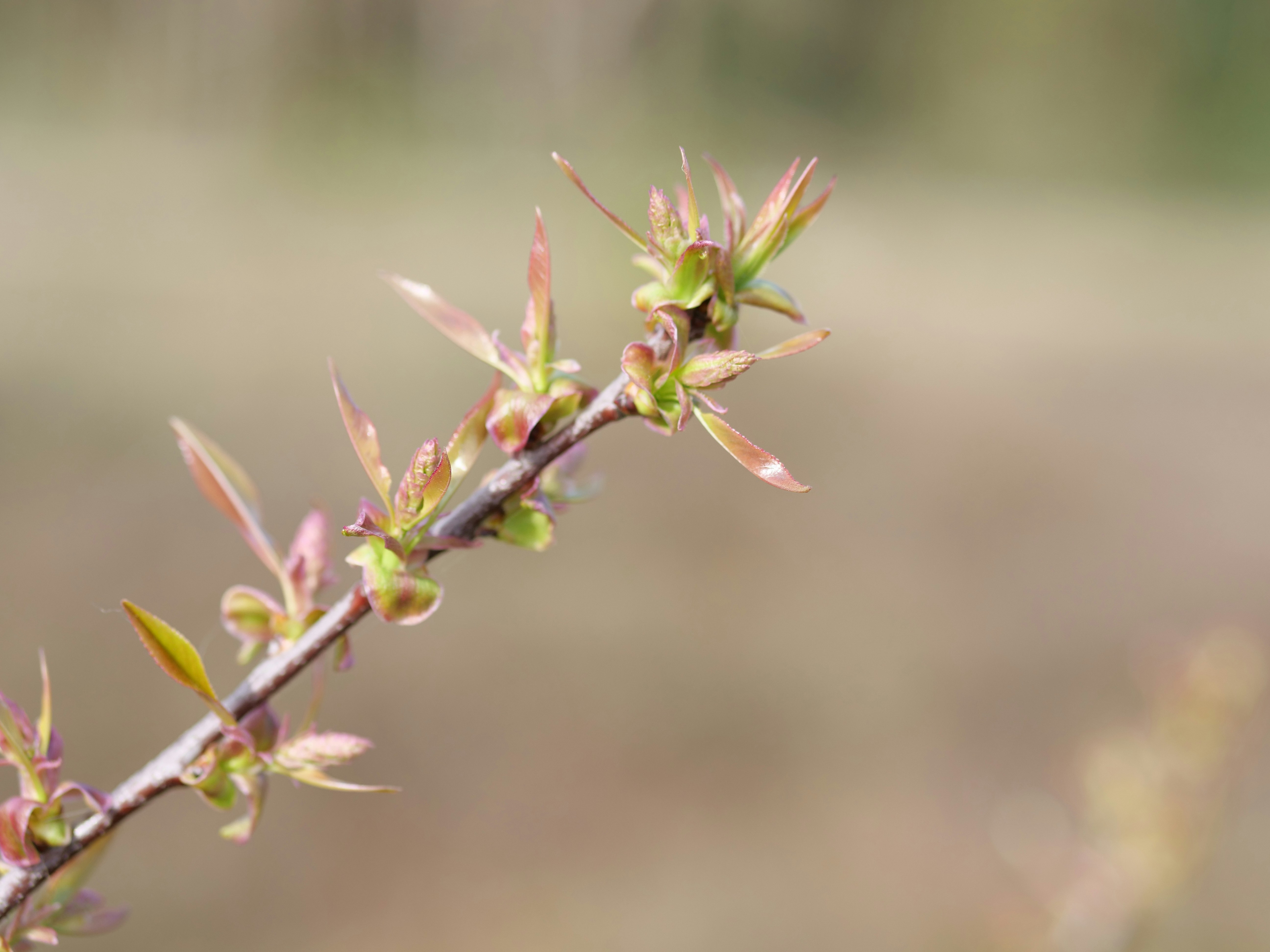 Photo by mira_vanderveen