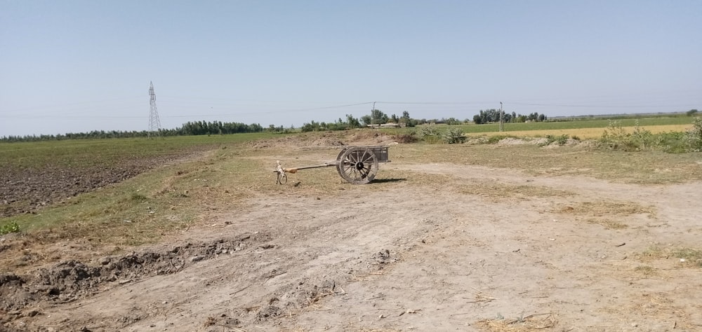 brown wooden carriage on brown sand during daytime