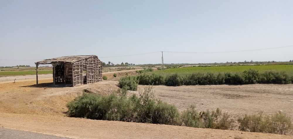 Campo de hierba verde bajo el cielo azul durante el día