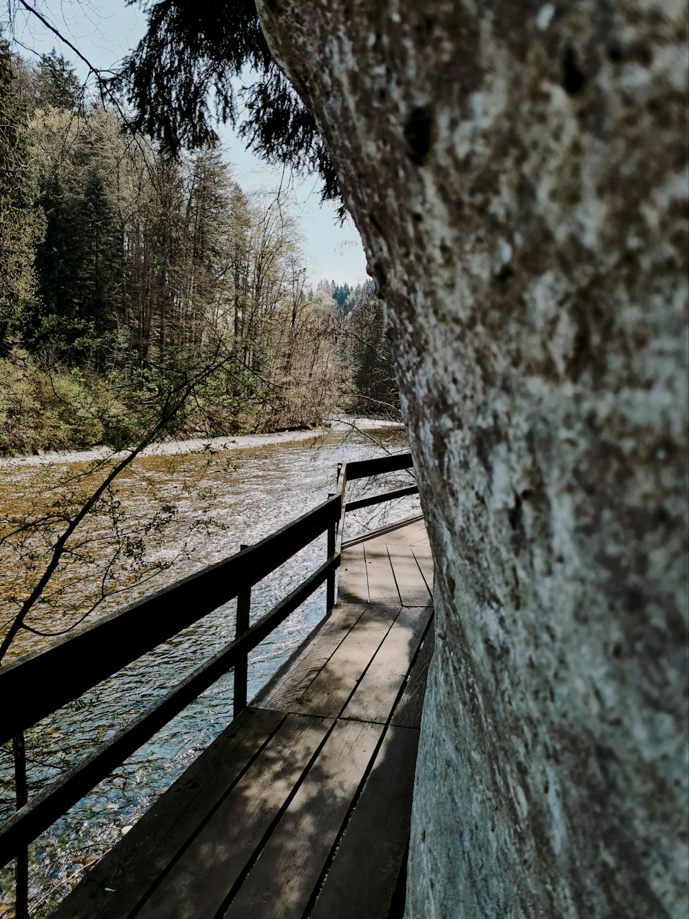 brown wooden bench near river during daytime