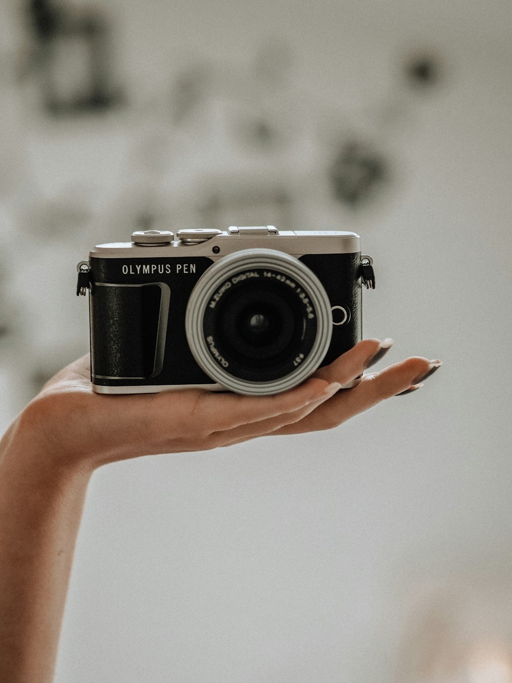 person holding black and silver camera