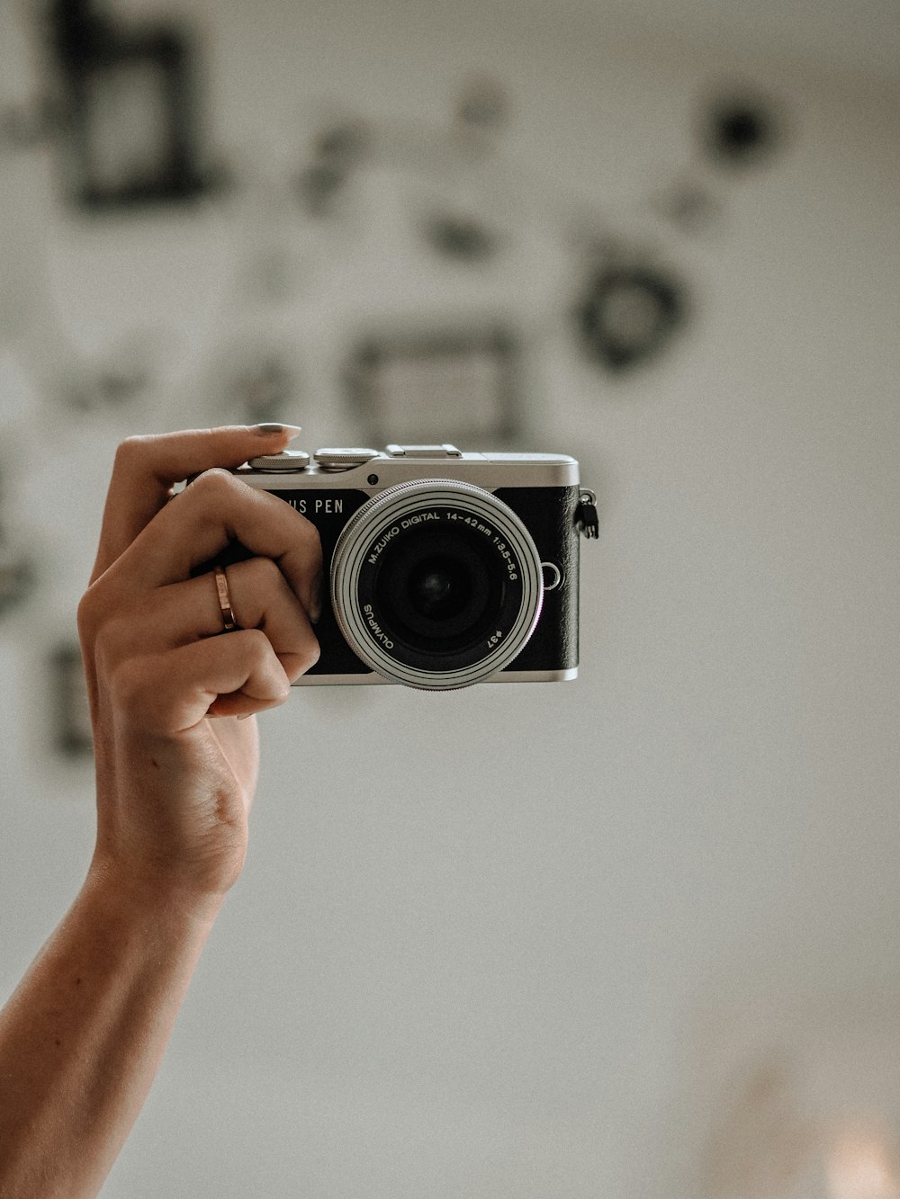 person holding silver and black camera