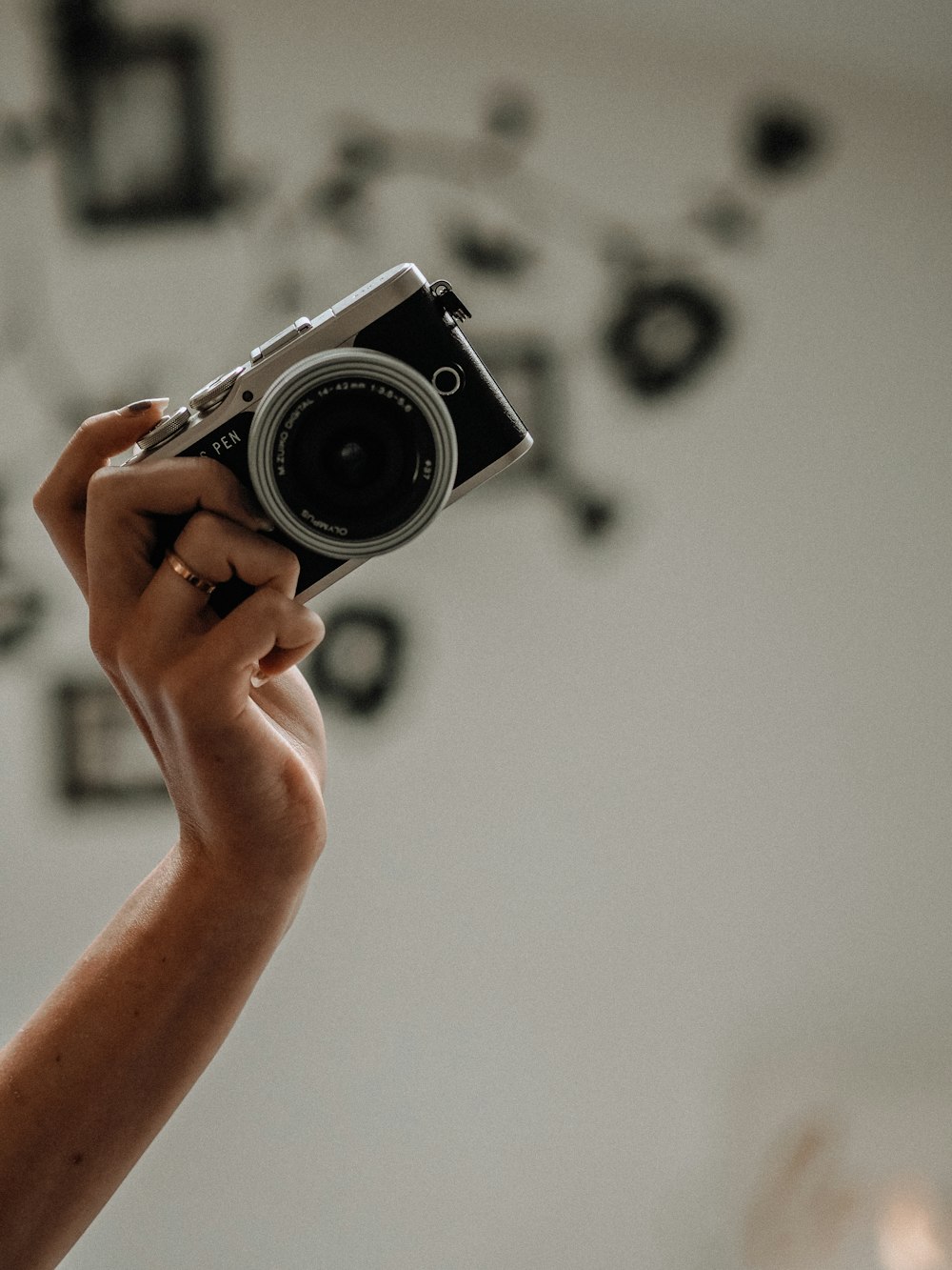 person holding black and silver camera