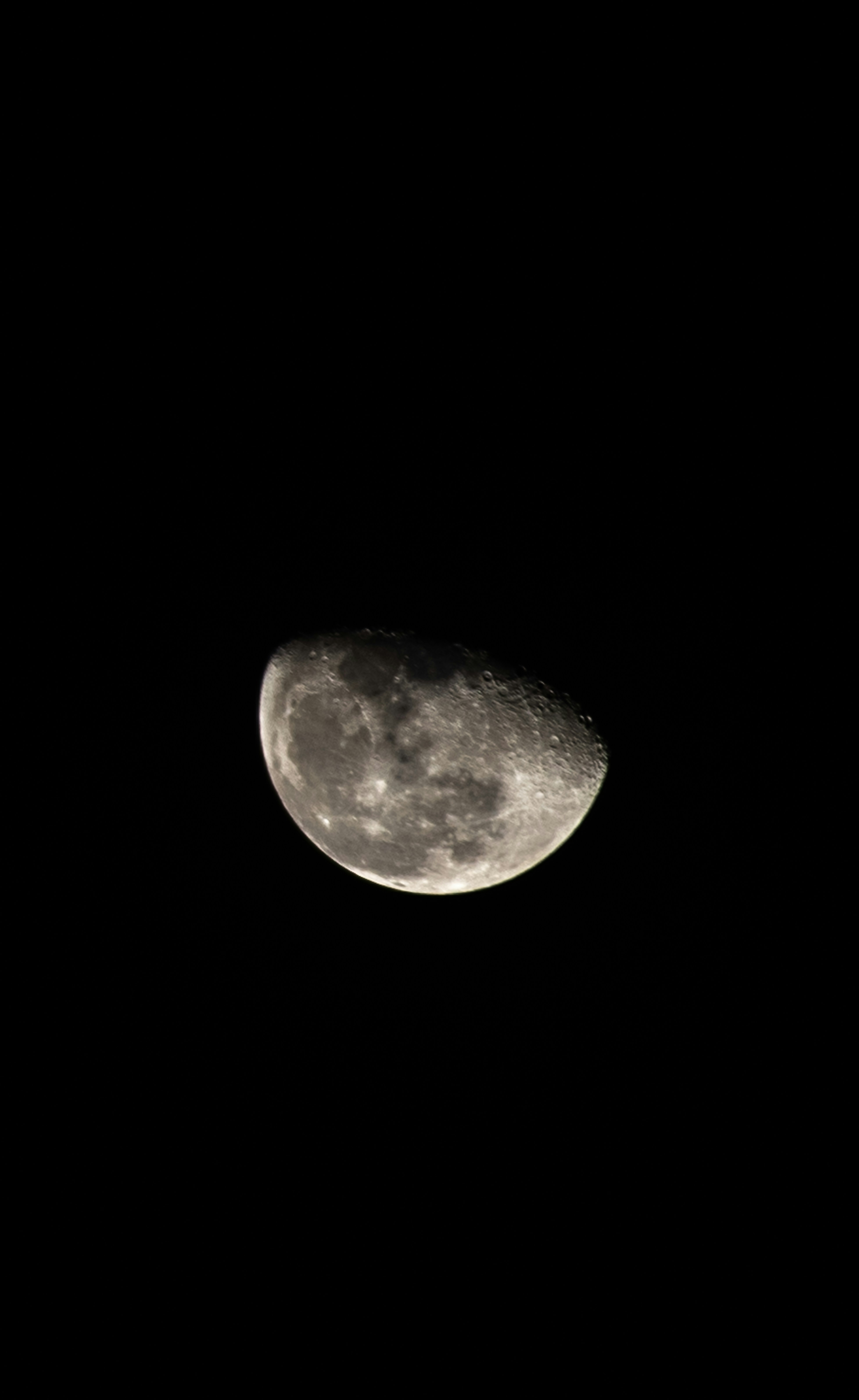 Photo by rayyu