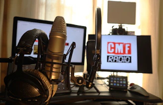 black and silver microphone with stand