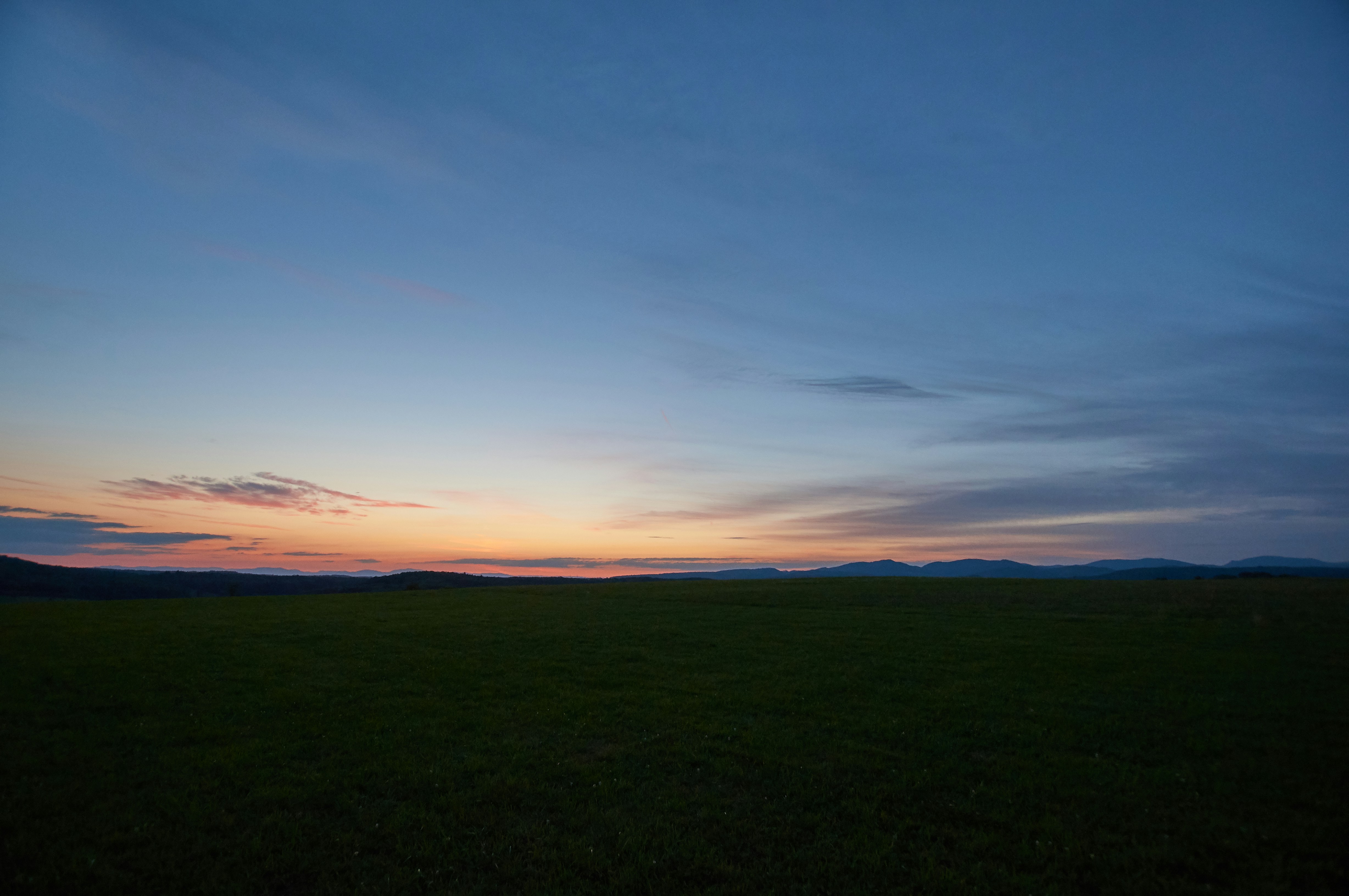 Photo by wolfgang_hasselmann