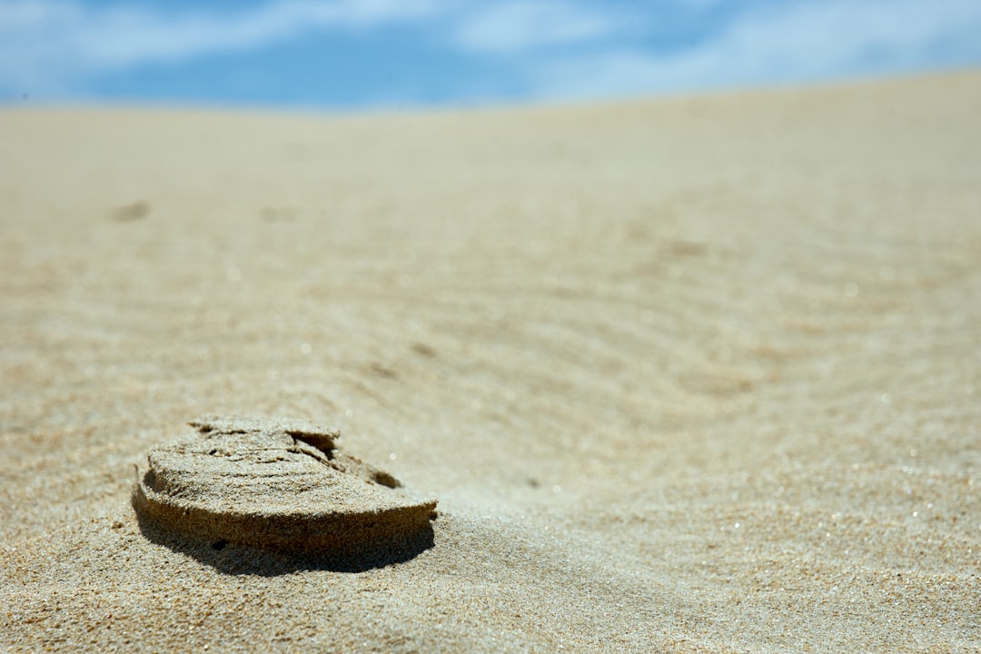 brown wooden round ornament on white sand during daytime