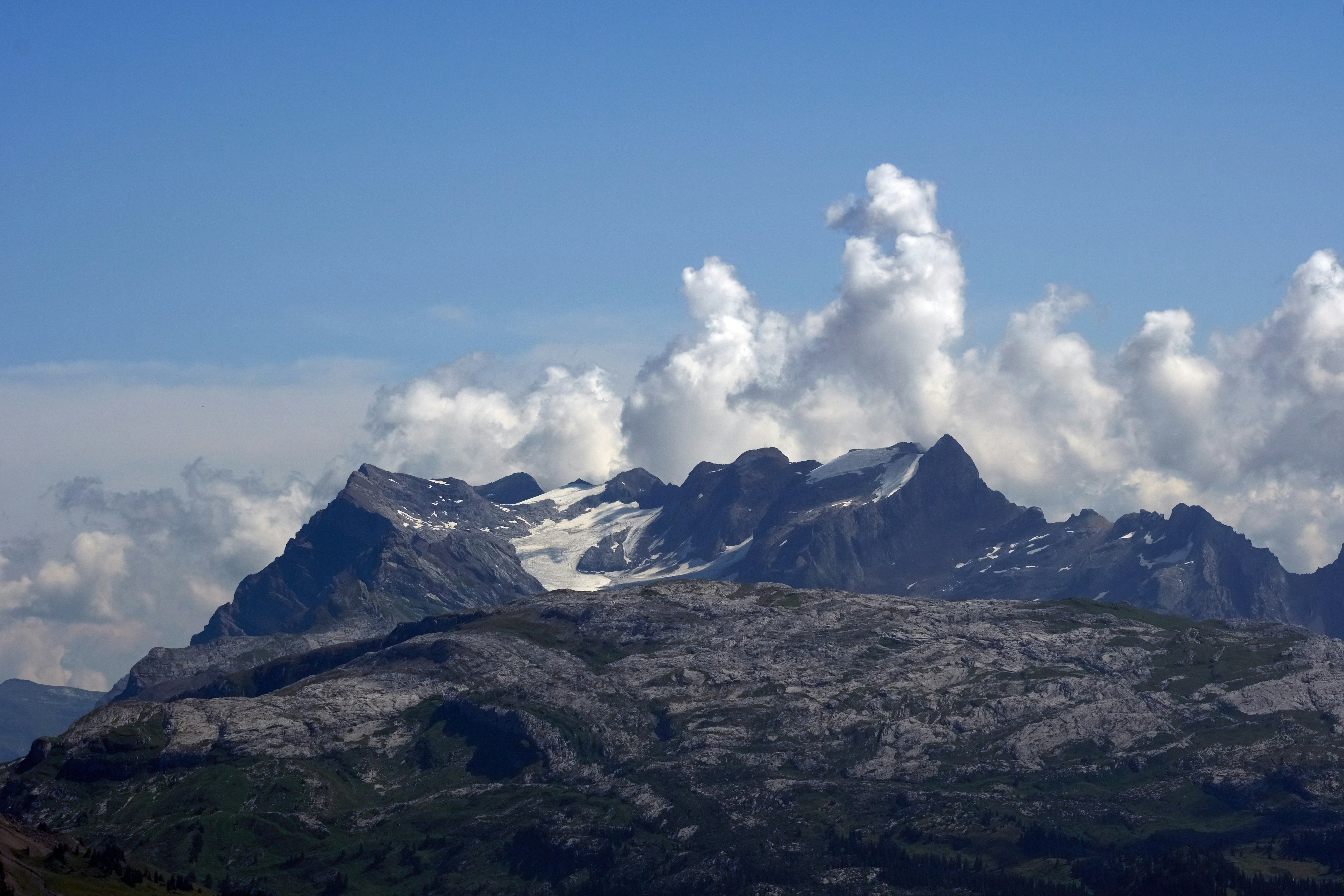 Photo by wolfgang_hasselmann