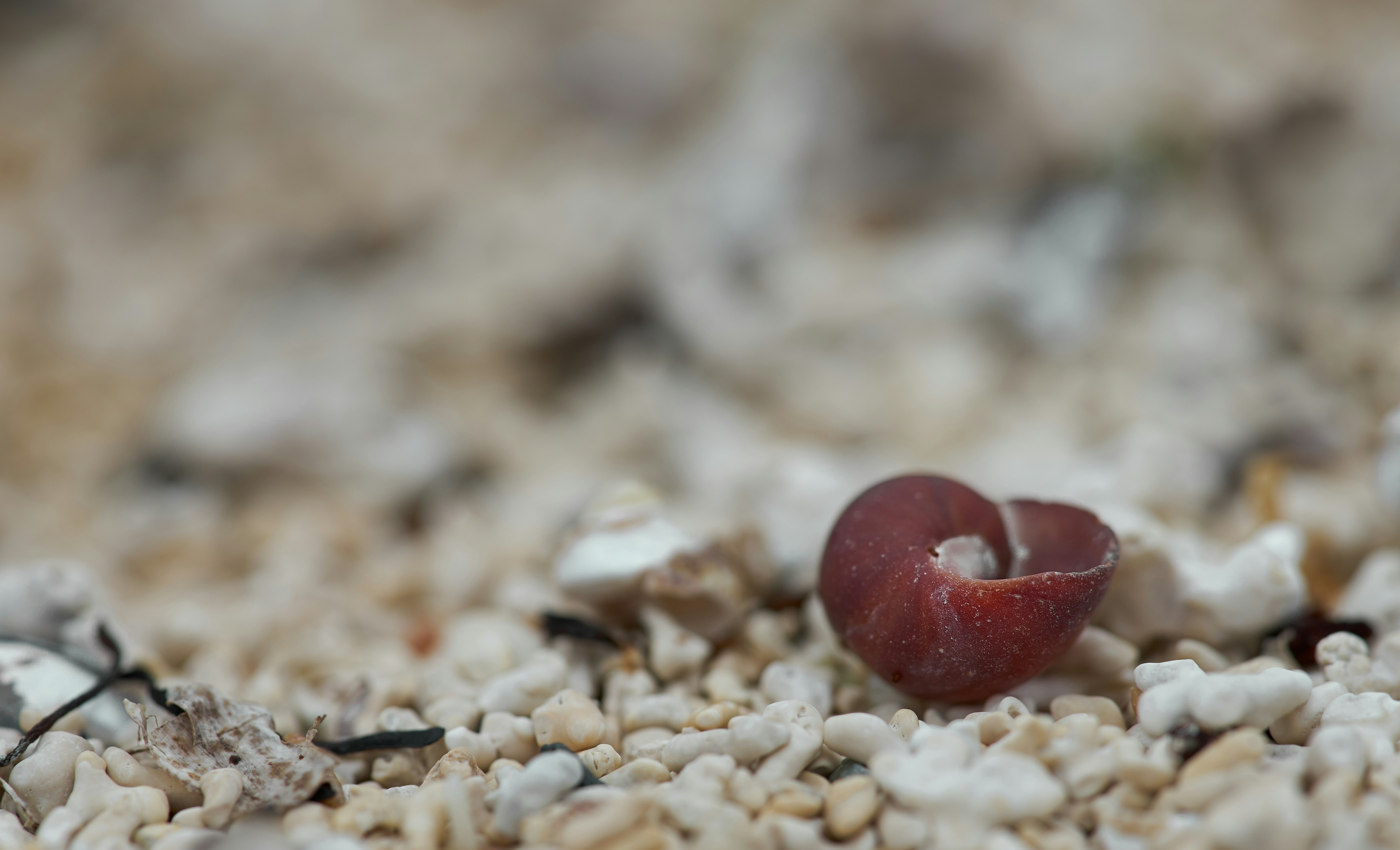 Photo by wolfgang_hasselmann