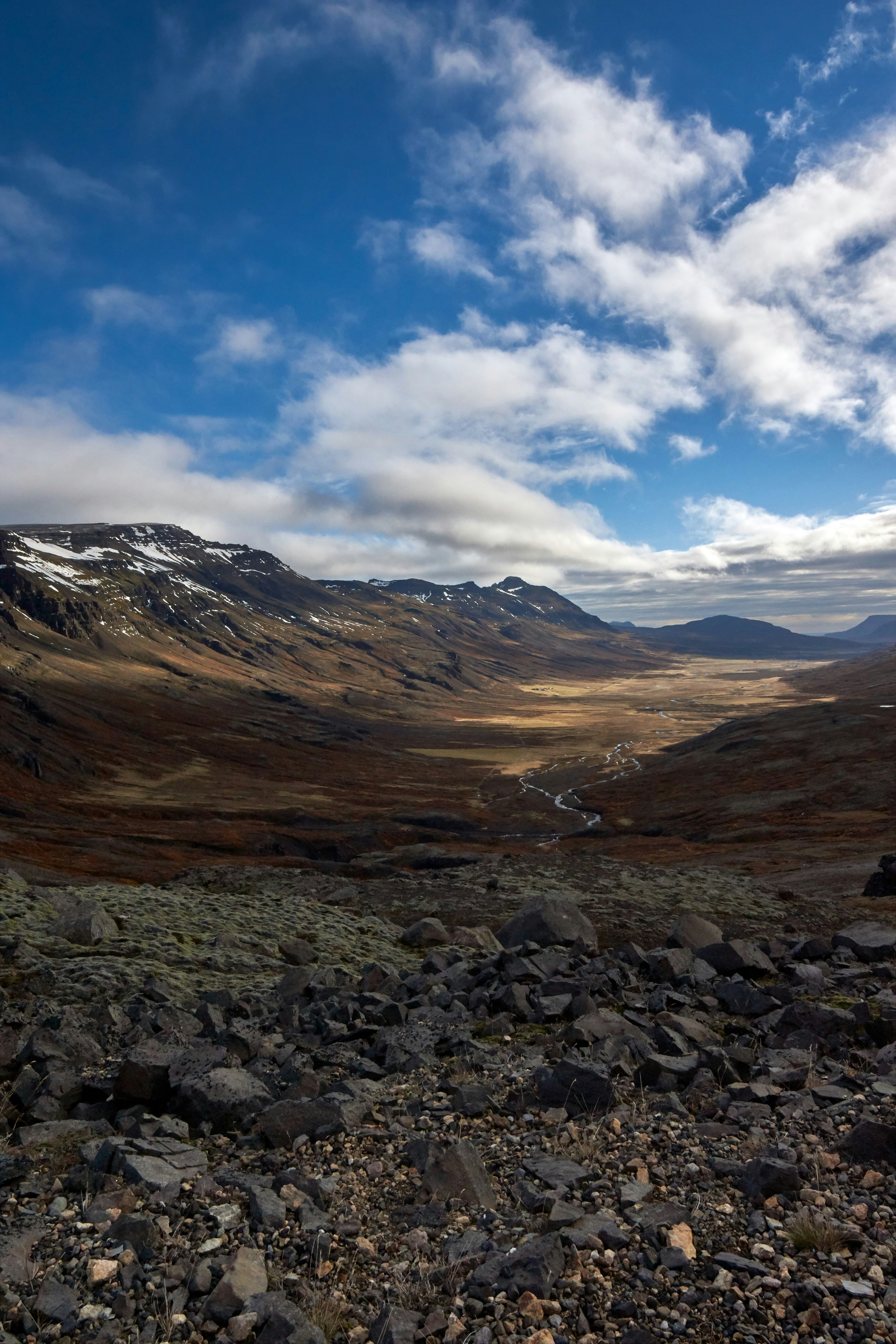 Photo by wolfgang_hasselmann