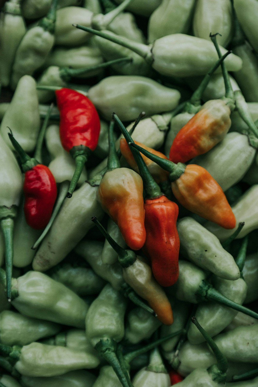 red and green chili peppers