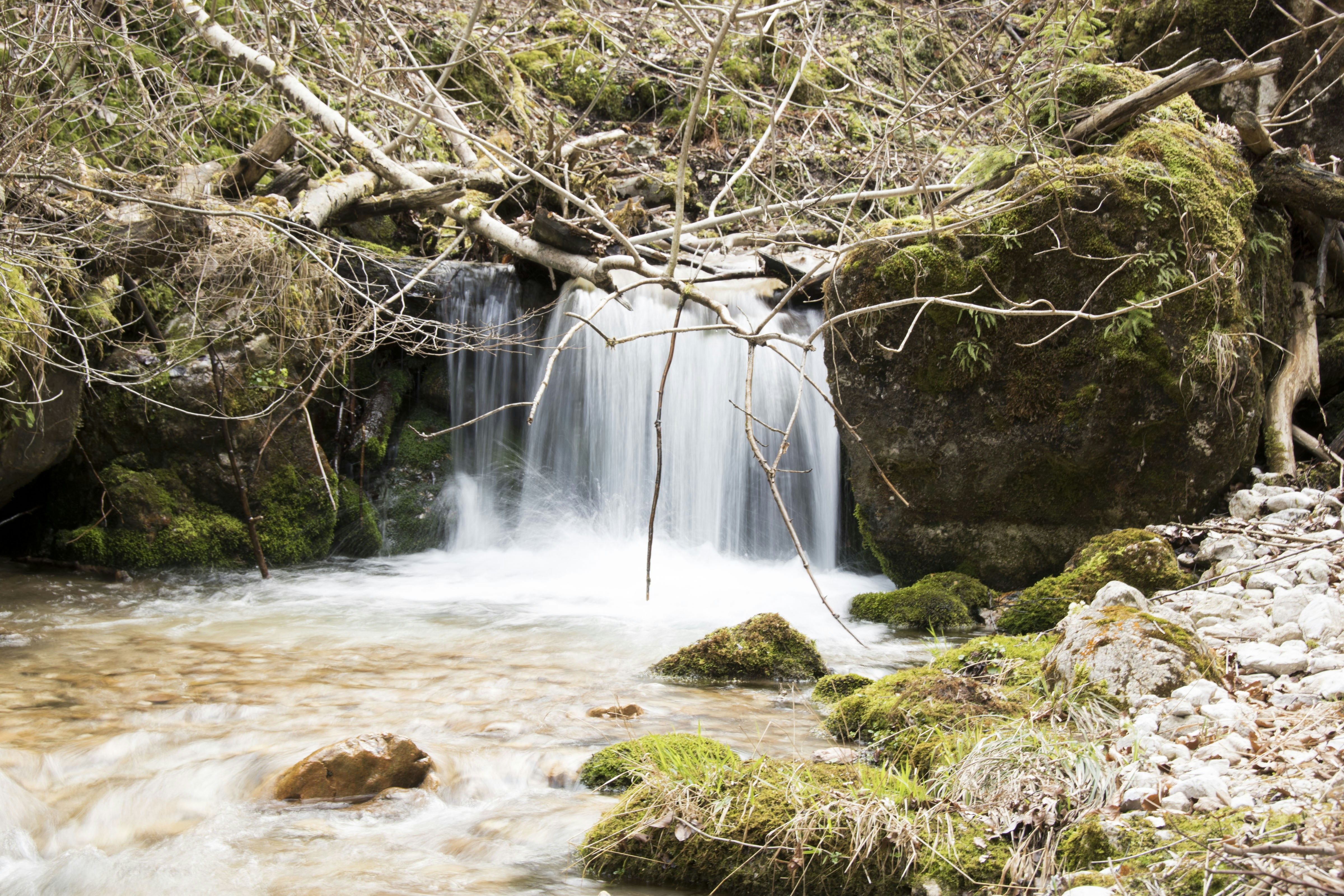 Photo by ivett_szabo