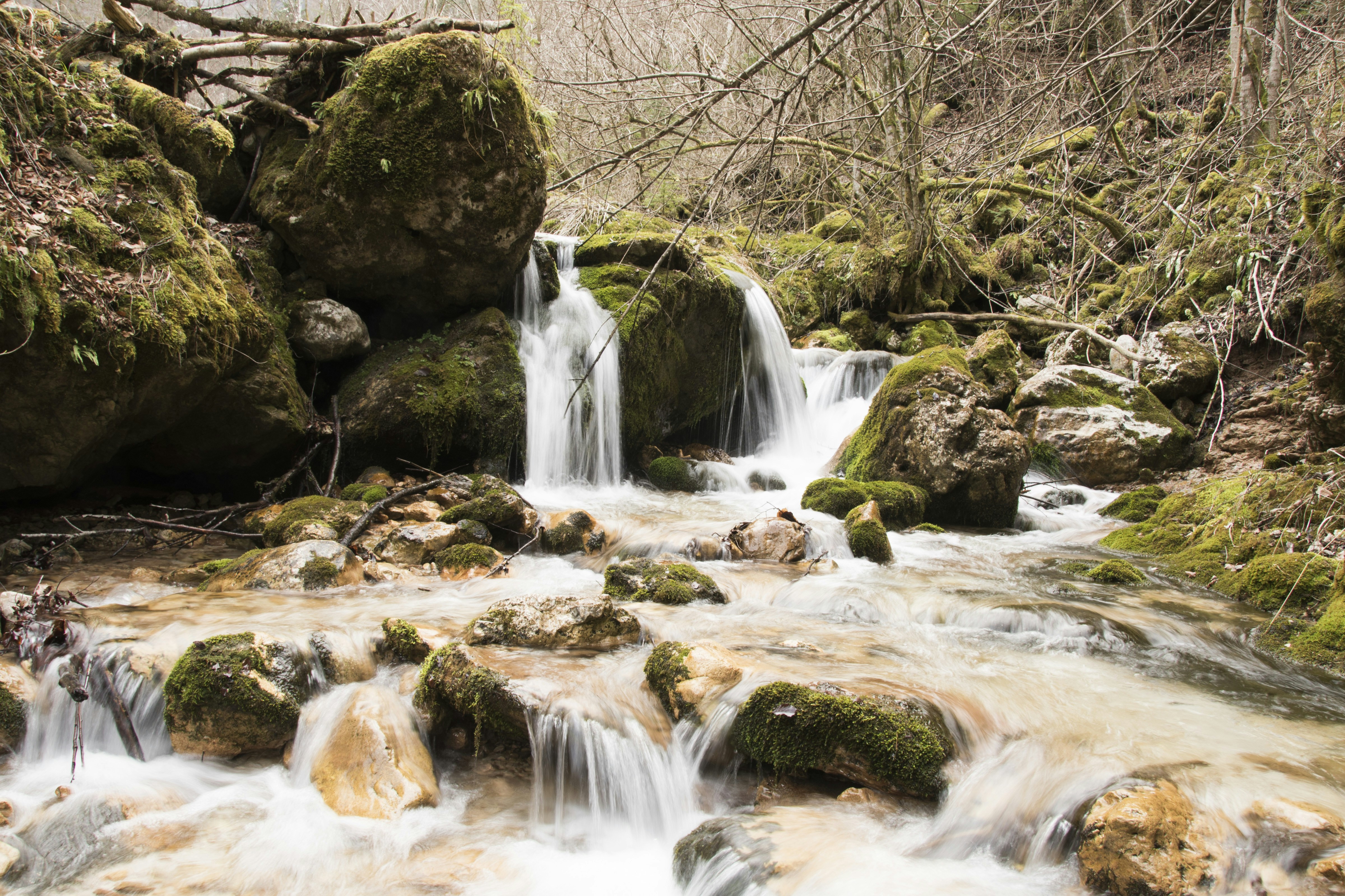 Photo by ivett_szabo