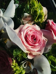 Close-up of delicate floral arrangements with pink roses and greenery.