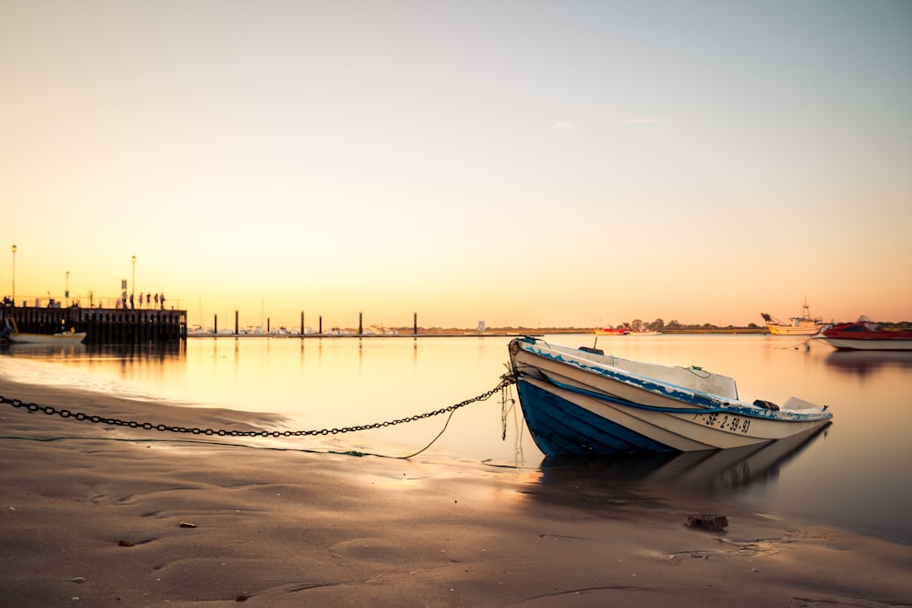 white and blue boat on beach during sunset