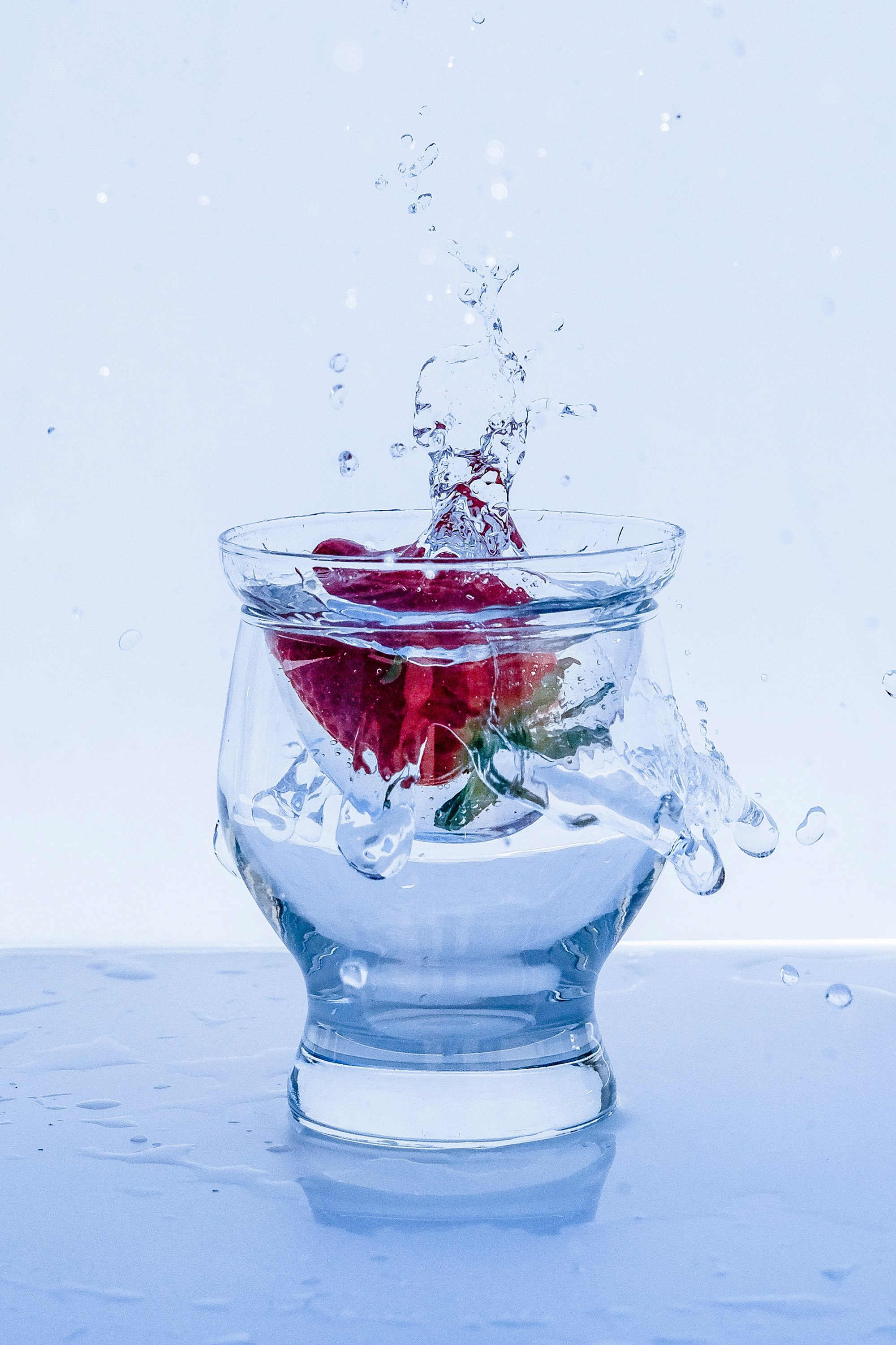 red rose in water with water