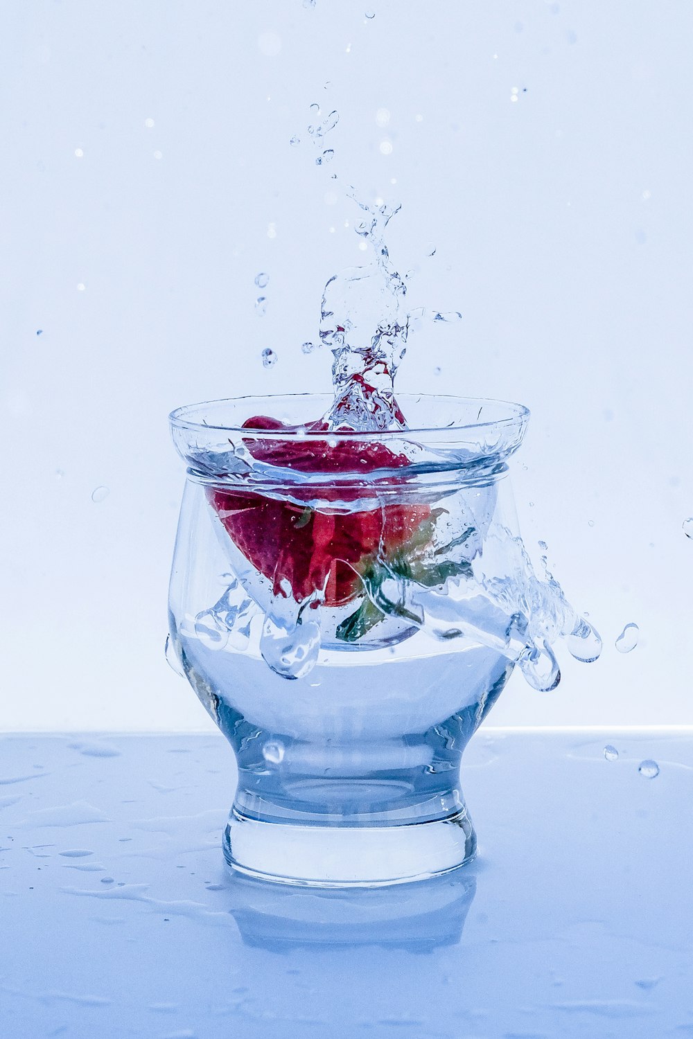 rosa roja en agua con agua