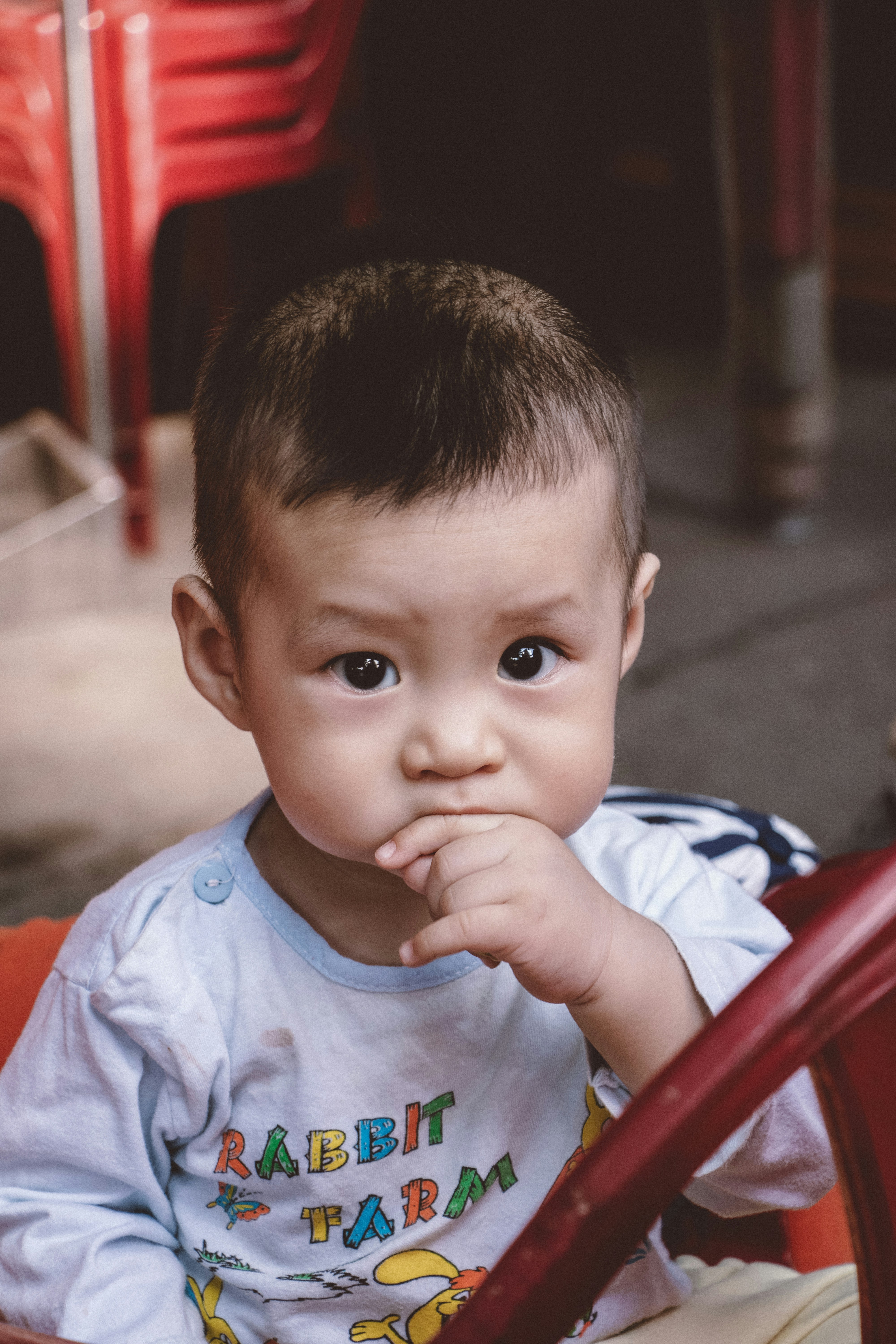 Photo by streetwindy