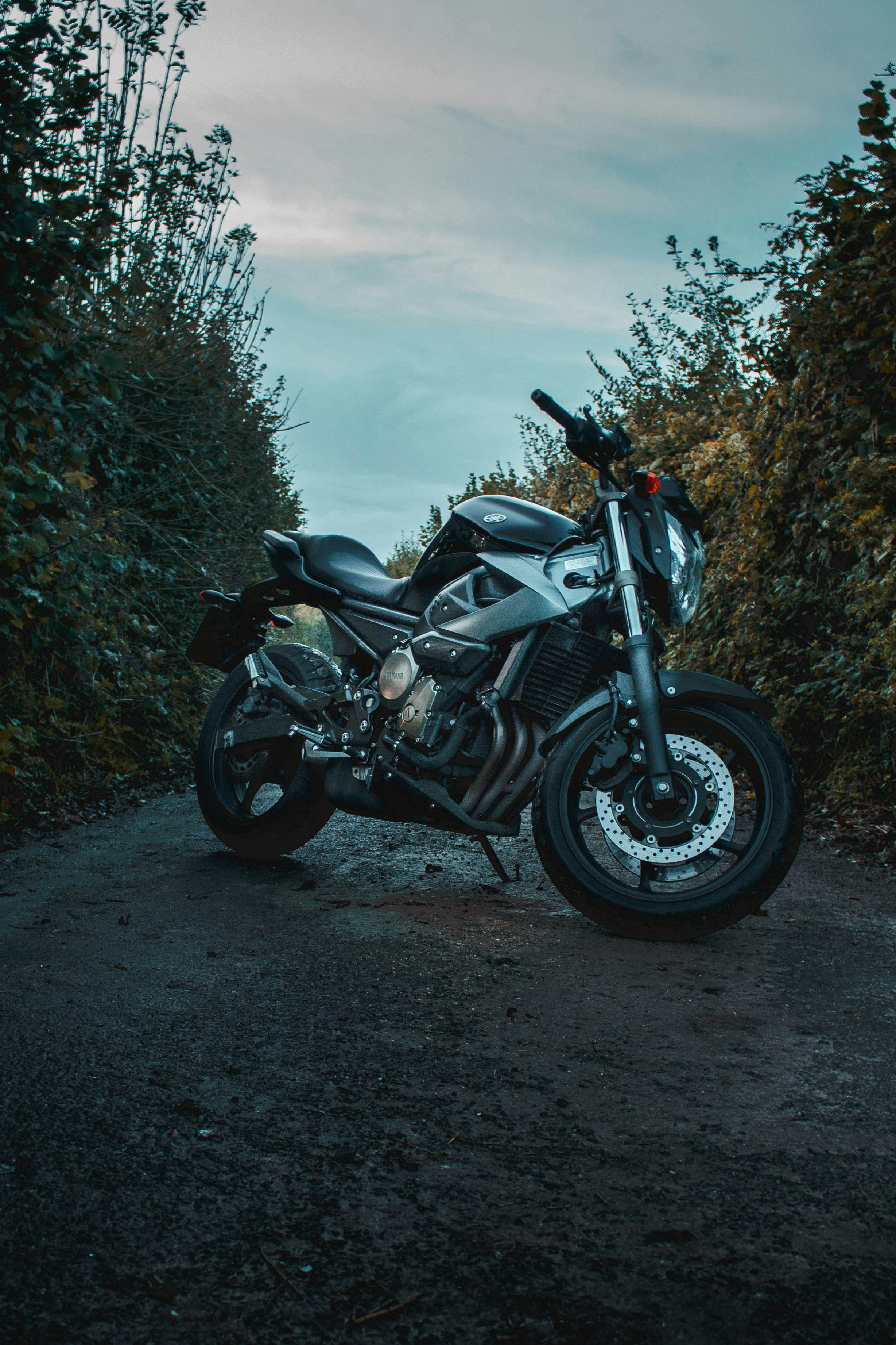 Photo by orangetiephotography