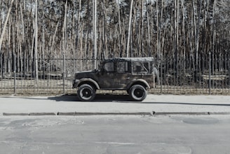 A rugged off-road vehicle with a camouflage pattern is parked alongside a road. In the background, there is a dense forest of tall, thin trees and a black iron fence separating the road from the woods. The scene is bathed in natural light, enhancing the textures of the vehicle and surrounding environment.
