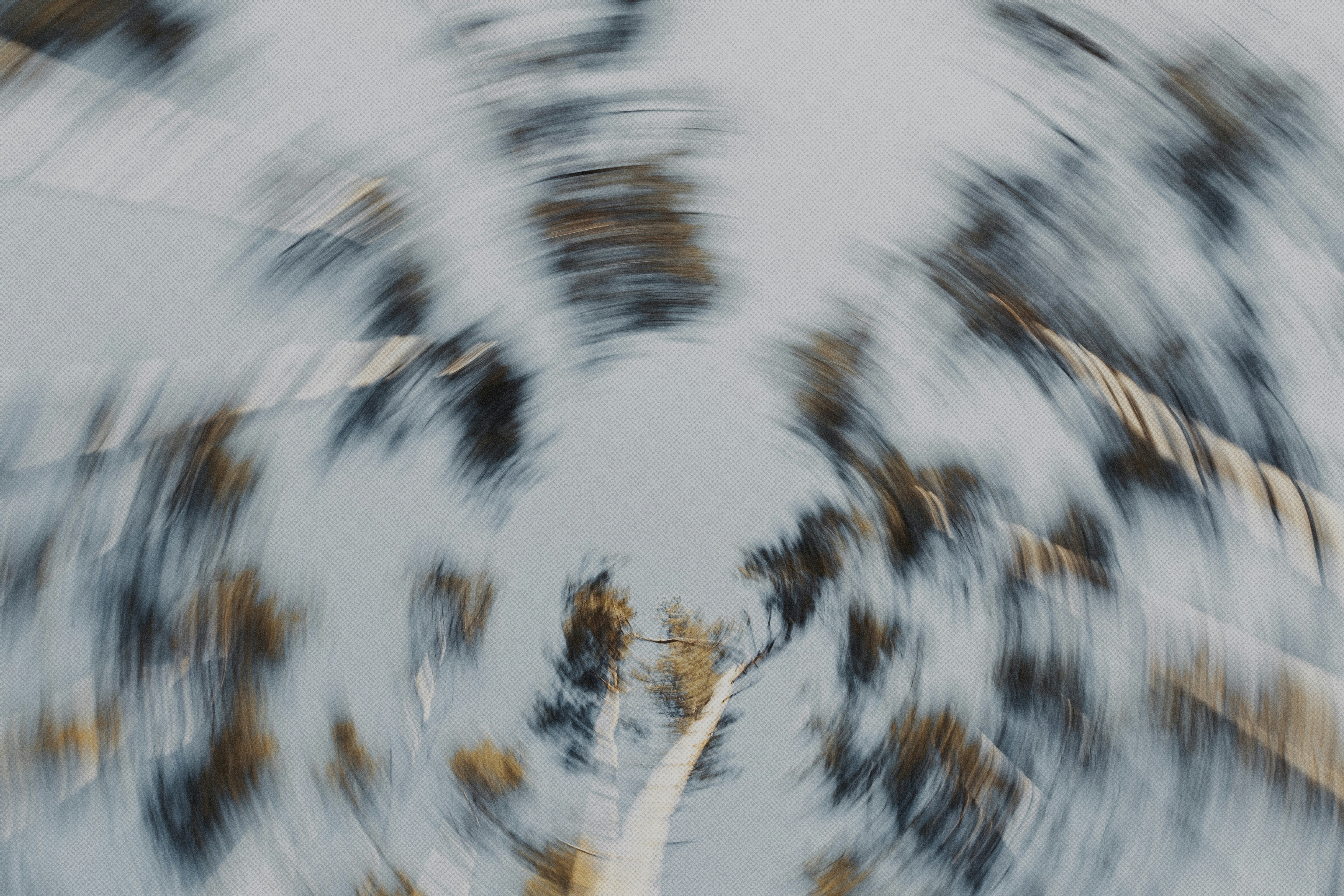 Photo by marjan_blan