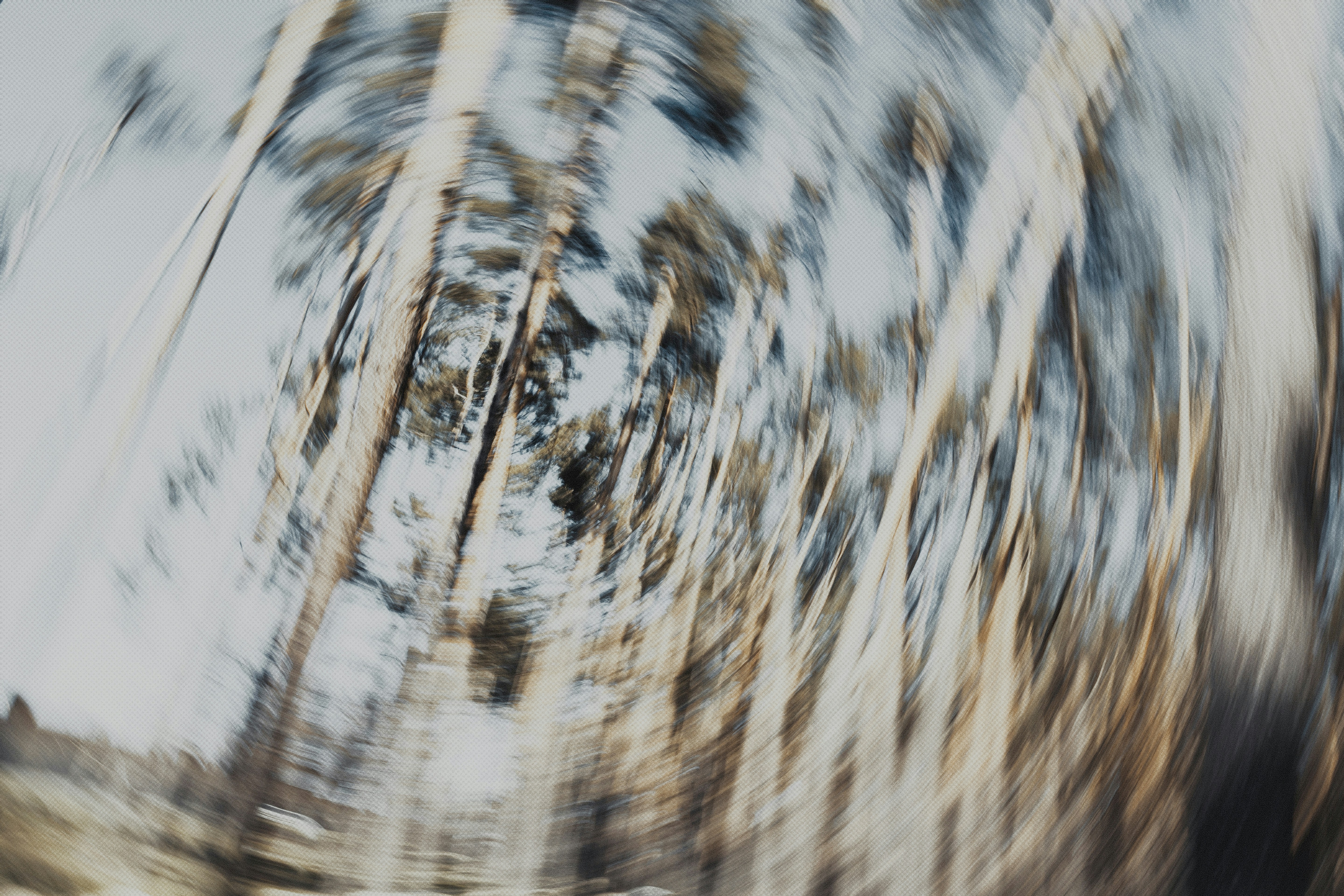 Photo by marjan_blan