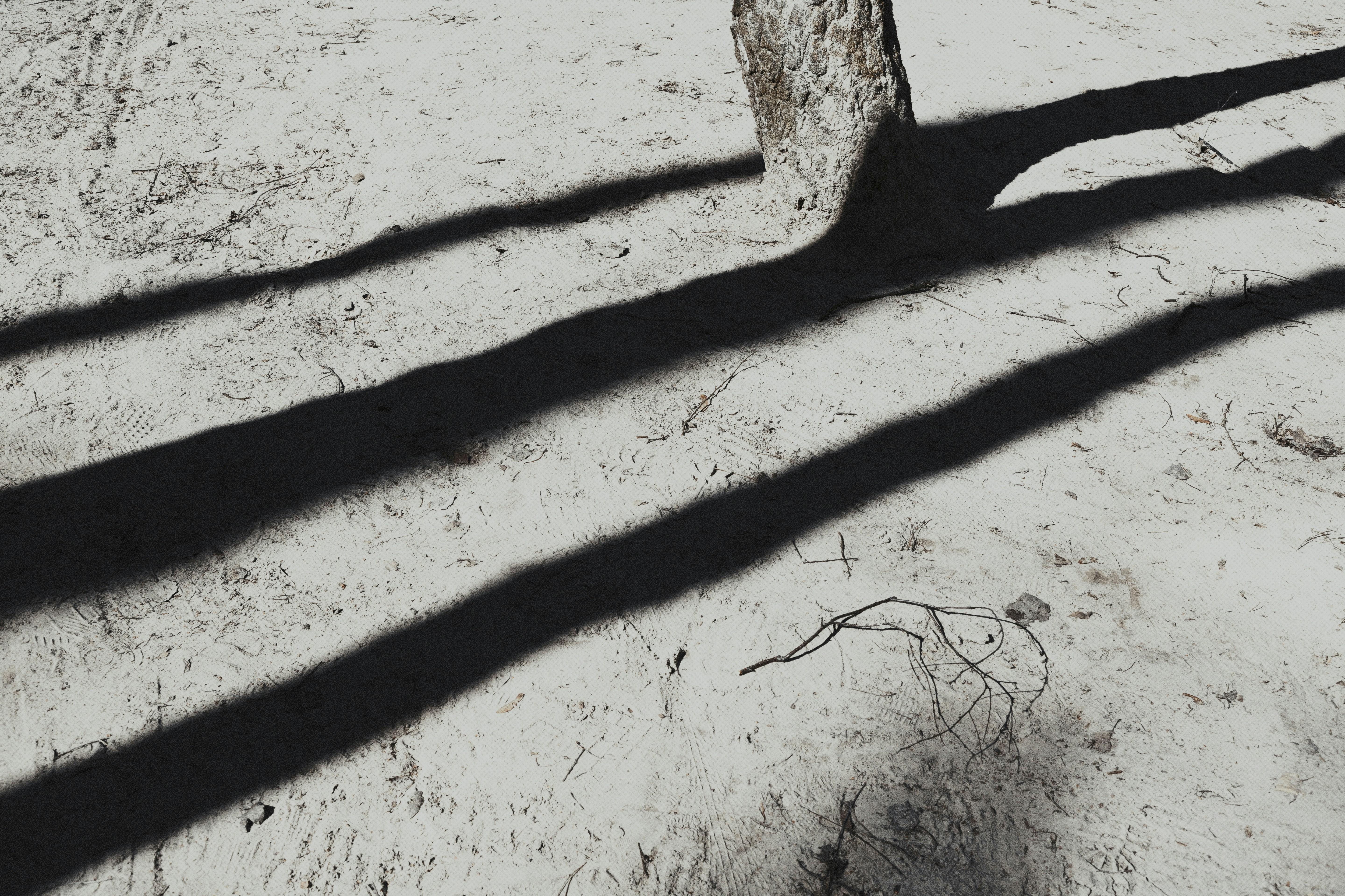 Photo by marjan_blan