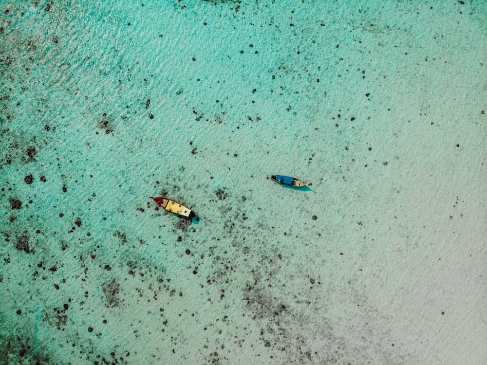 aerial view of boats on sea shore during daytime