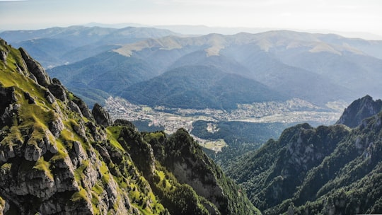 green mountains under white sky during daytime in Bucegi Romania