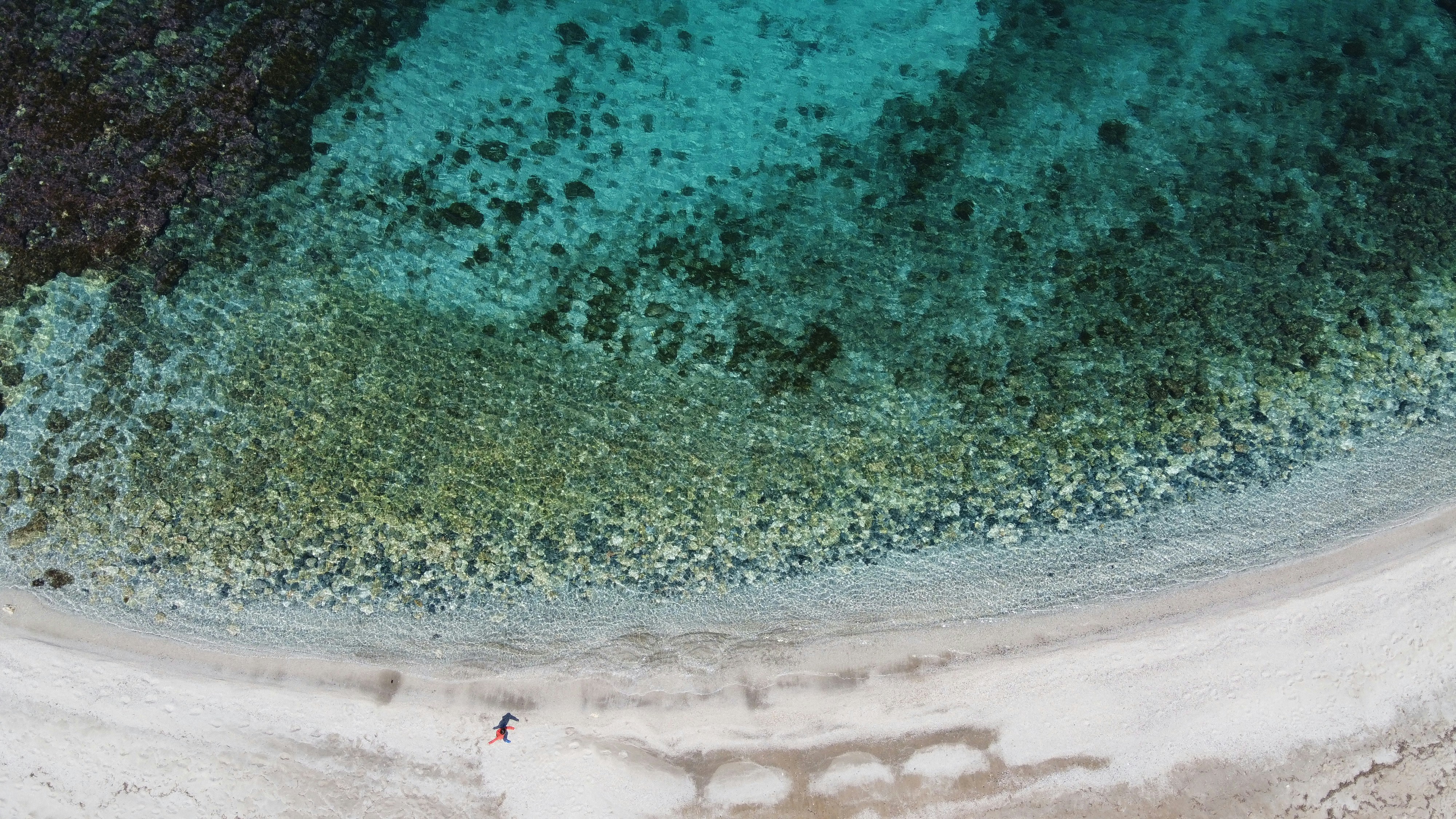 aerial view of people on beach during daytime