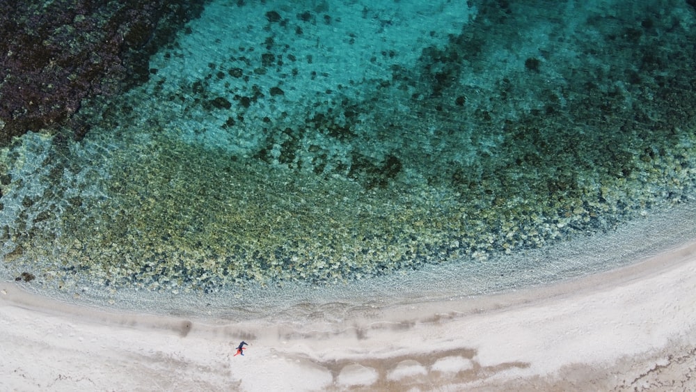 aerial view of people on beach during daytime