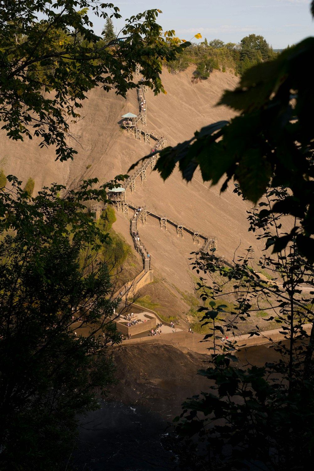 aerial view of green trees and brown mountain