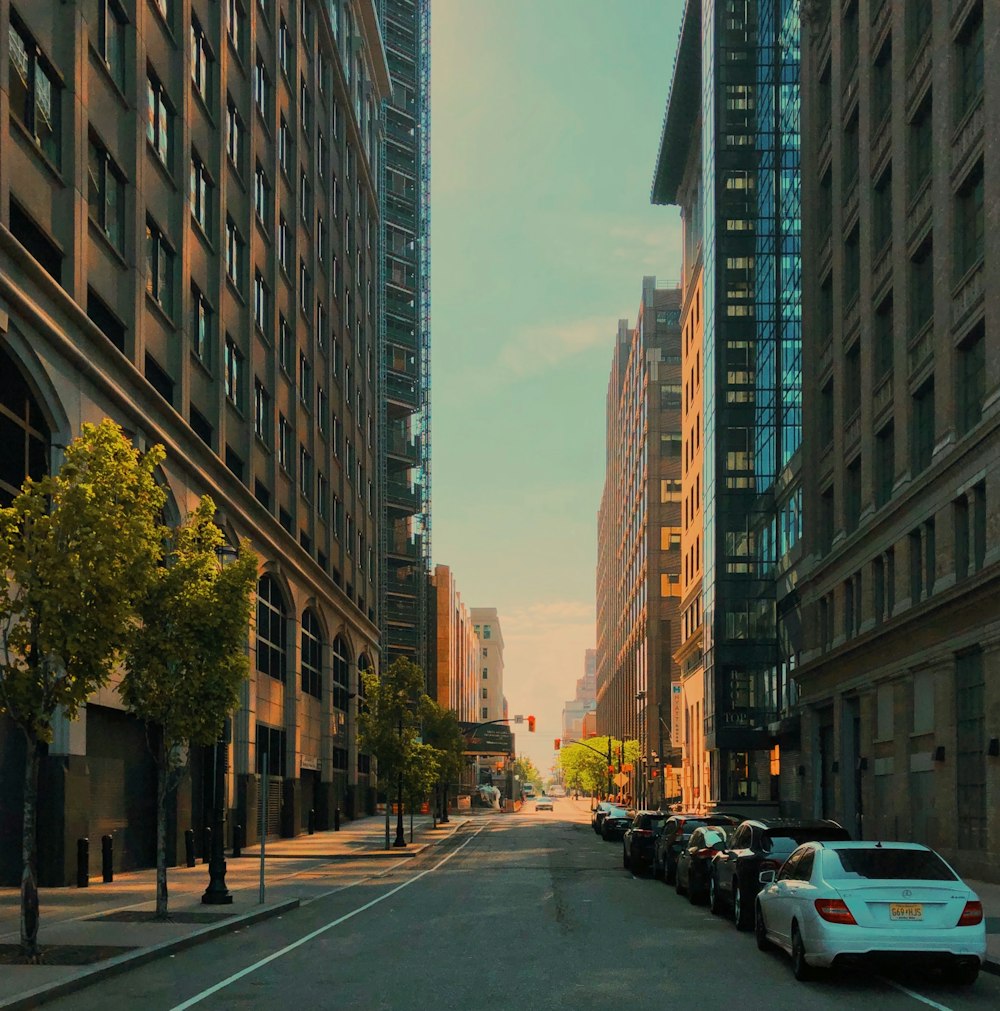 cars parked on side of the road in between high rise buildings during daytime