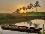 A serene backwater boat gliding past lush green palms under a golden sunset.